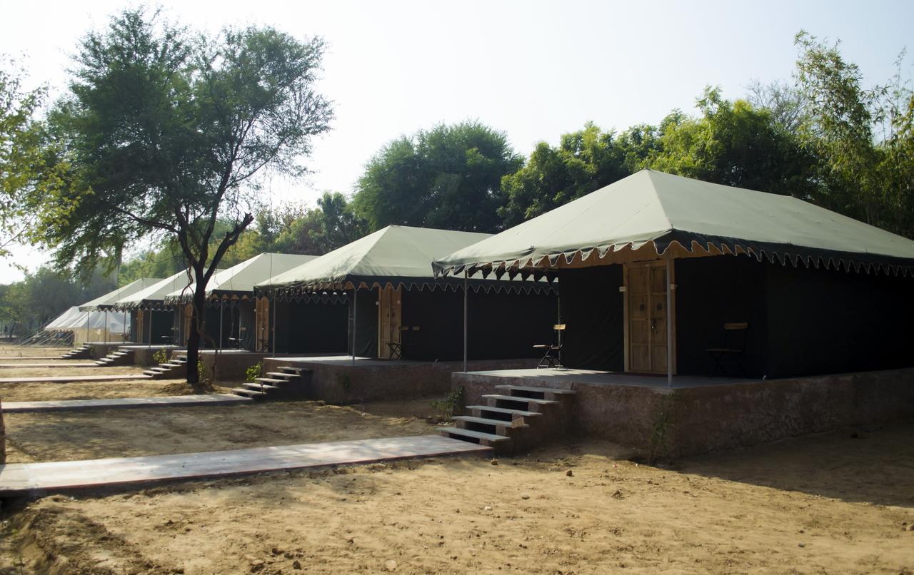 מלון ג'איפור Kanota Camp מראה חיצוני תמונה